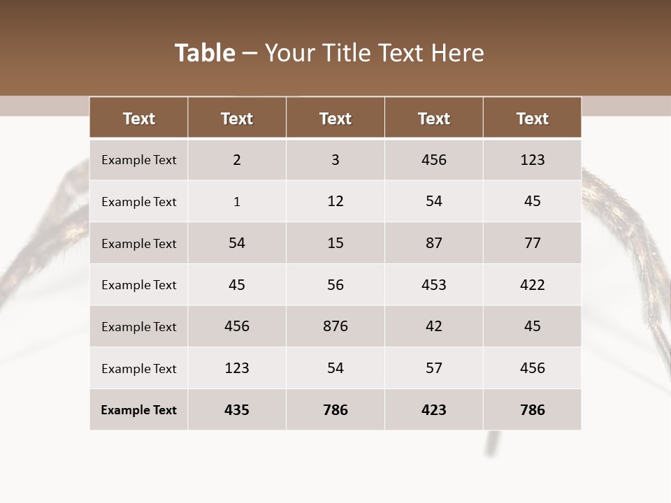 Arachnid Detail Background PowerPoint Template