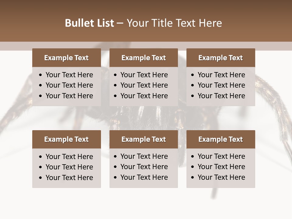 Arachnid Detail Background PowerPoint Template