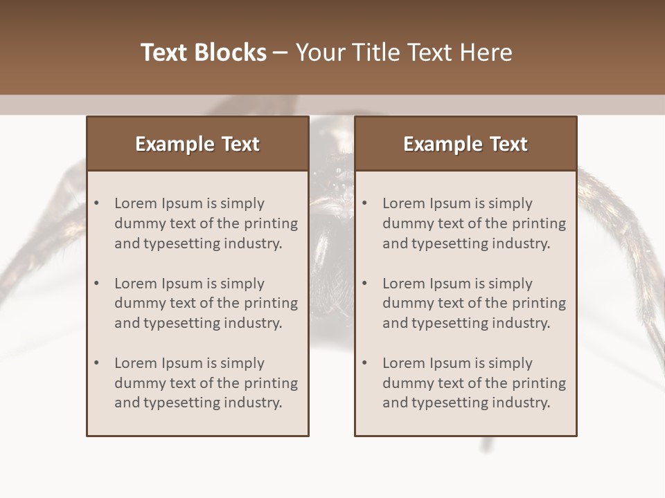 Arachnid Detail Background PowerPoint Template