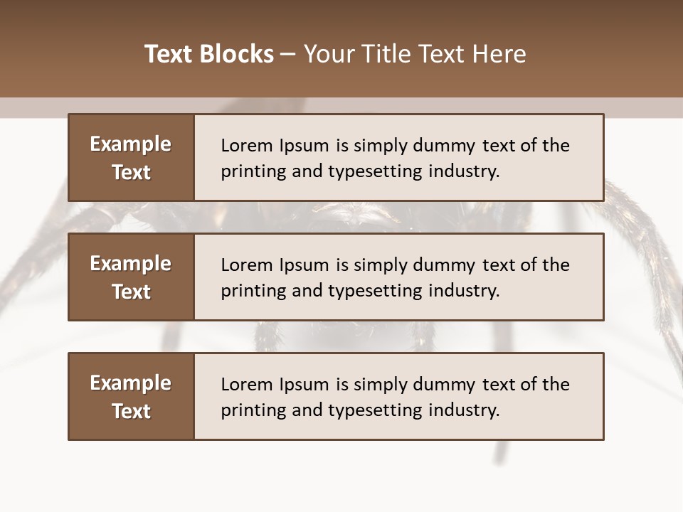 Arachnid Detail Background PowerPoint Template
