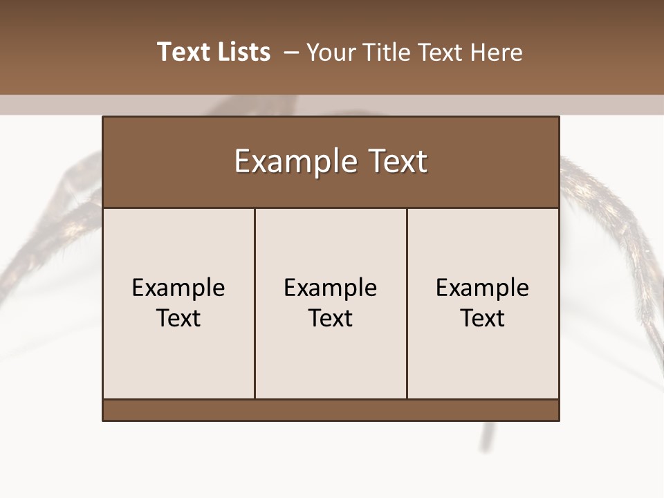 Arachnid Detail Background PowerPoint Template