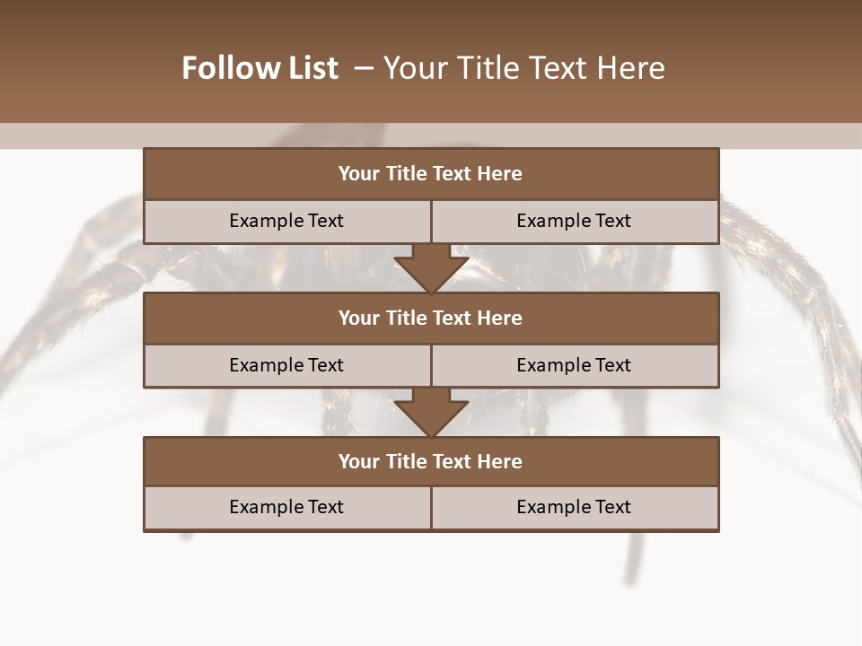 Arachnid Detail Background PowerPoint Template