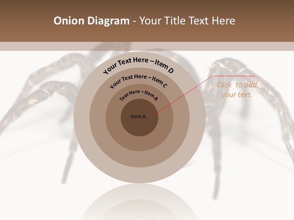 Arachnid Detail Background PowerPoint Template