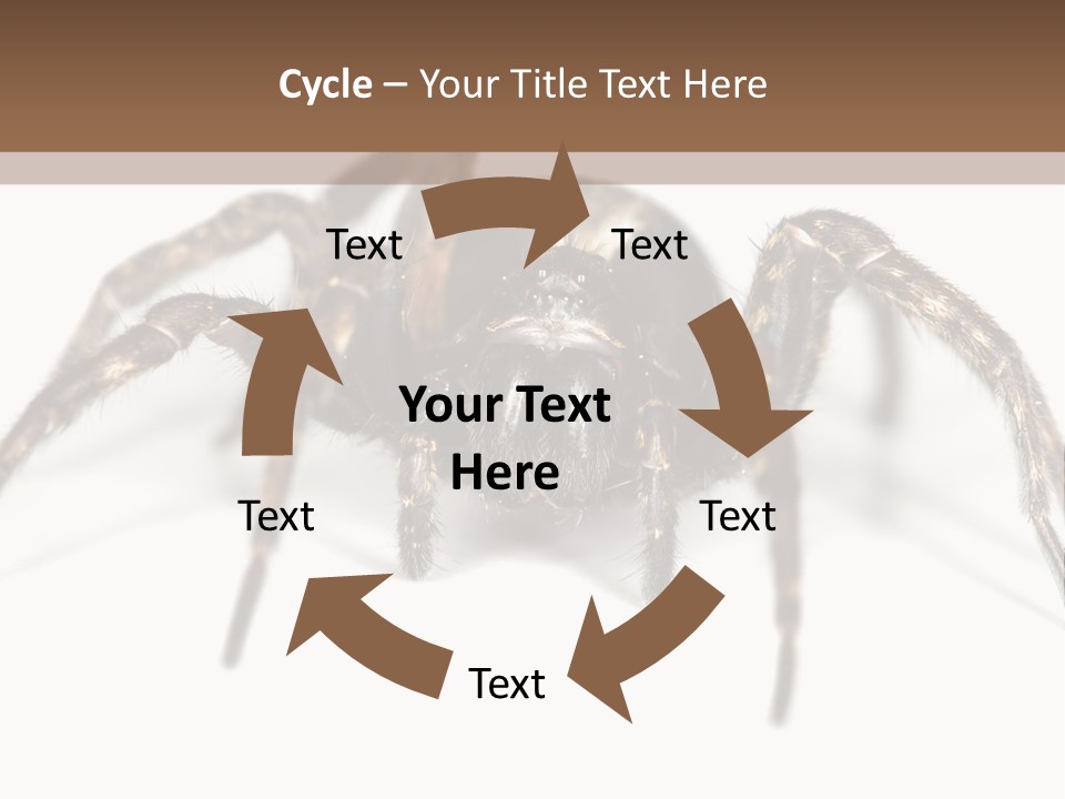 Arachnid Detail Background PowerPoint Template