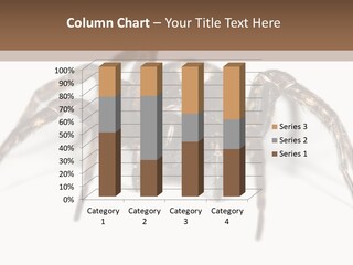 Arachnid Detail Background PowerPoint Template