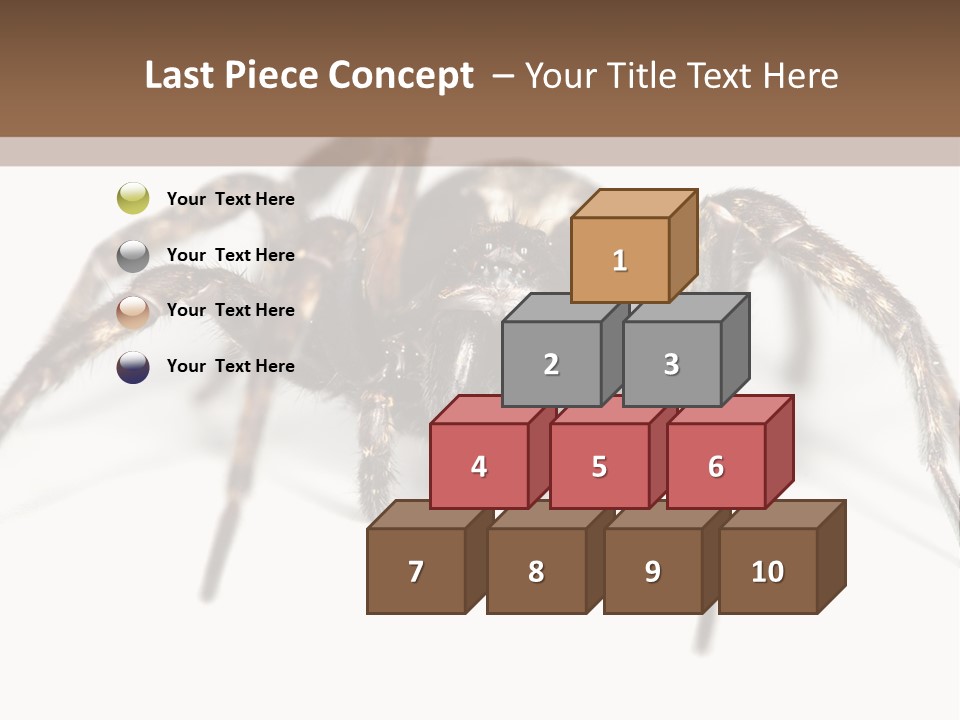 Arachnid Detail Background PowerPoint Template