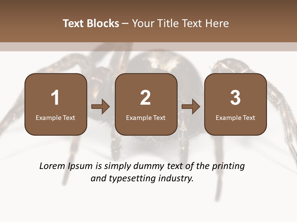 Arachnid Detail Background PowerPoint Template