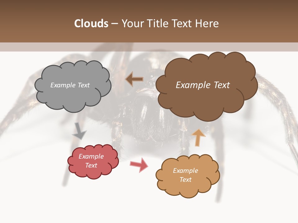 Arachnid Detail Background PowerPoint Template