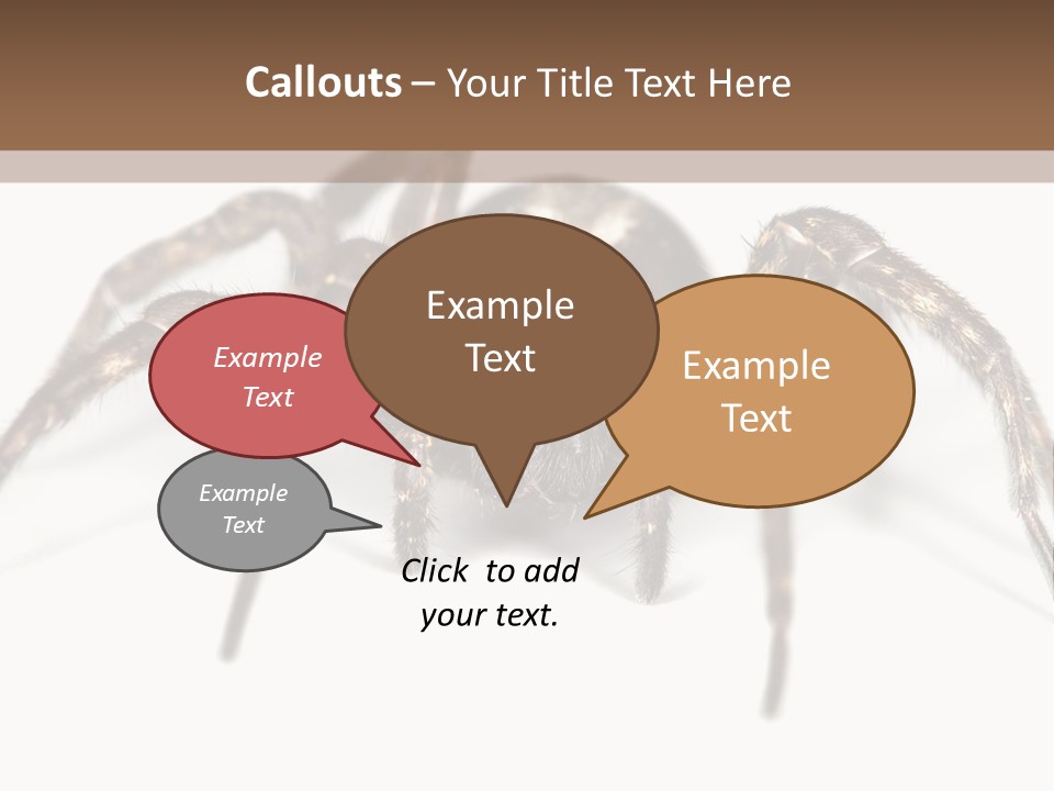 Arachnid Detail Background PowerPoint Template