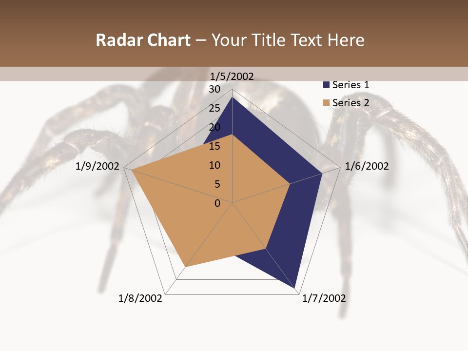 Arachnid Detail Background PowerPoint Template