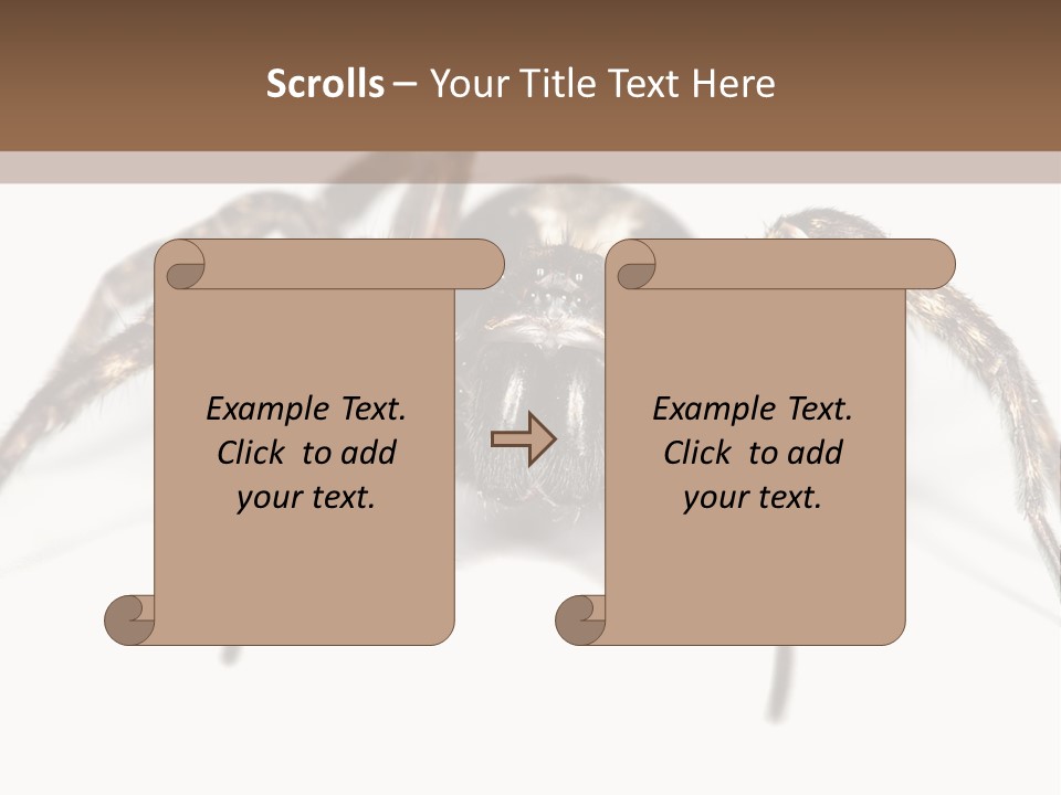 Arachnid Detail Background PowerPoint Template