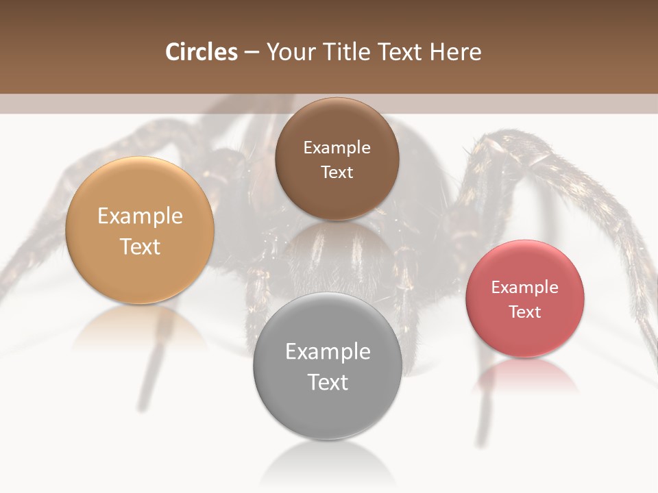 Arachnid Detail Background PowerPoint Template