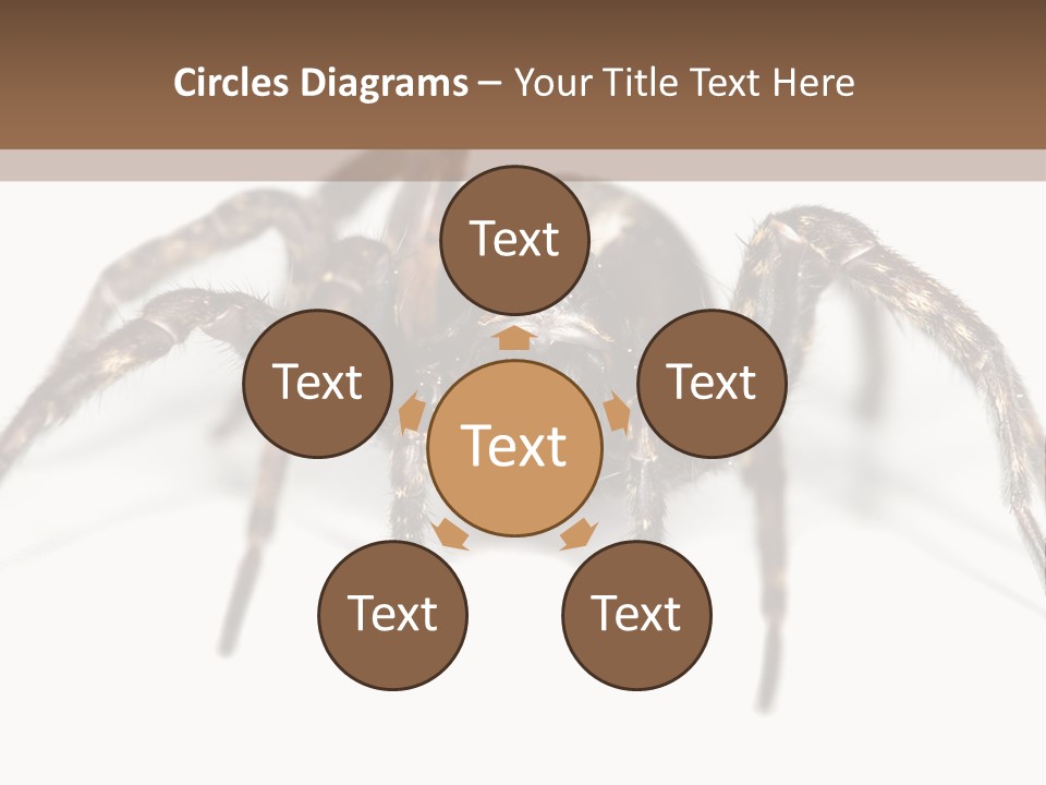 Arachnid Detail Background PowerPoint Template