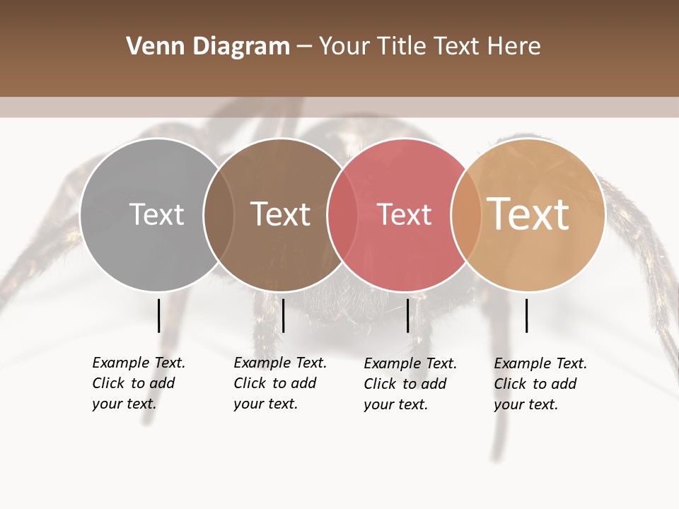 Arachnid Detail Background PowerPoint Template
