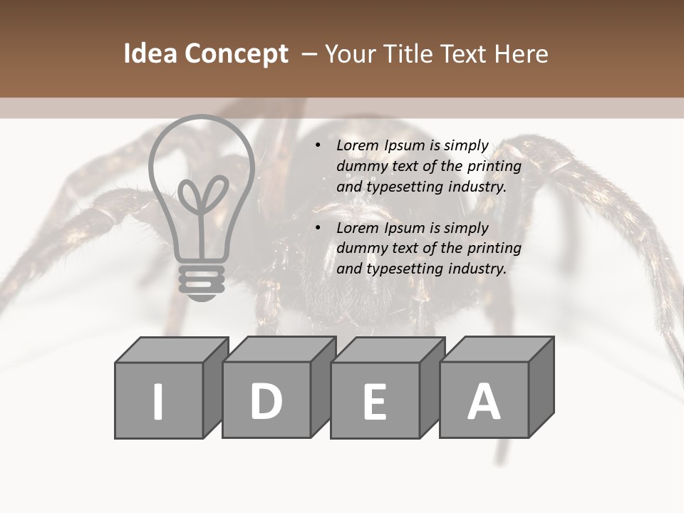 Arachnid Detail Background PowerPoint Template