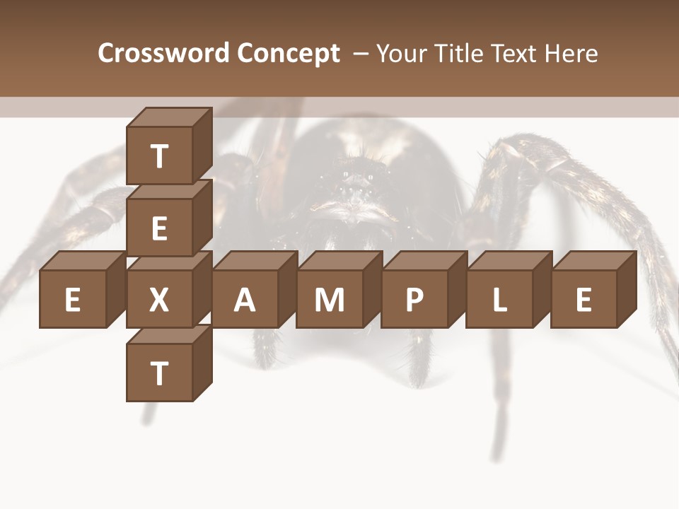Arachnid Detail Background PowerPoint Template