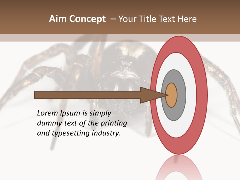Arachnid Detail Background PowerPoint Template
