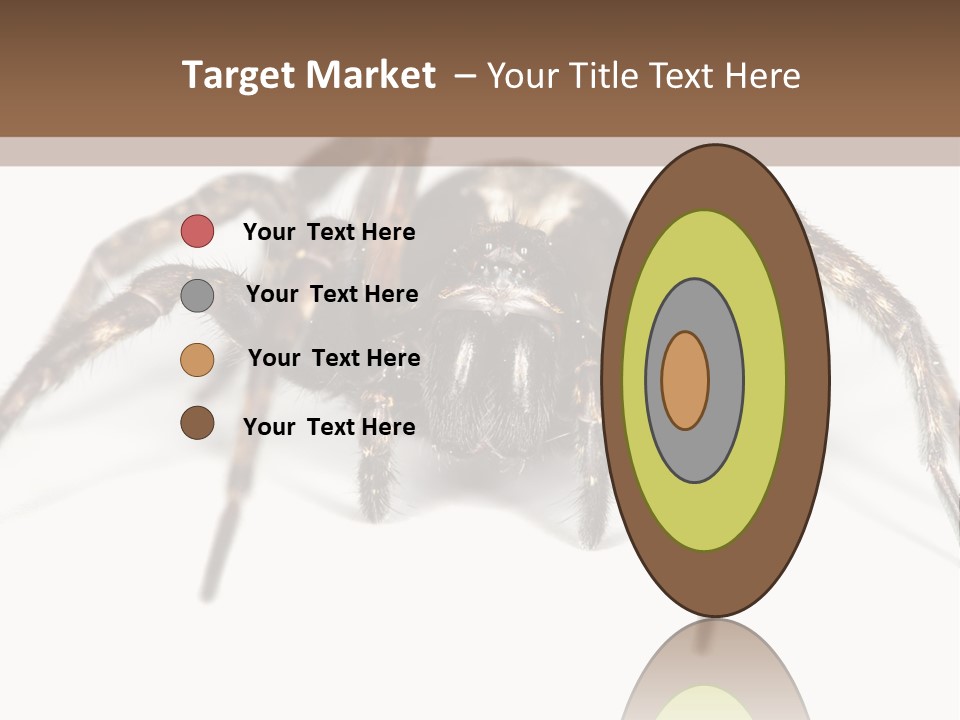 Arachnid Detail Background PowerPoint Template
