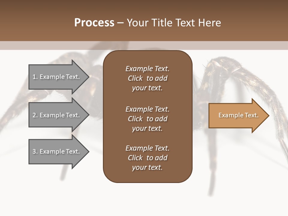 Arachnid Detail Background PowerPoint Template