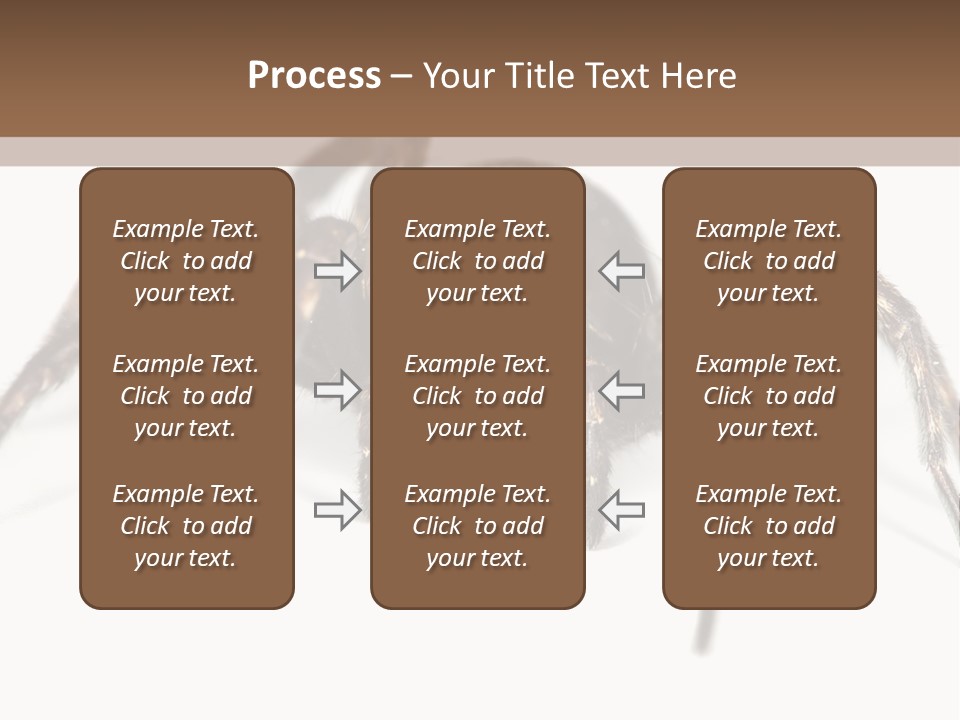 Arachnid Detail Background PowerPoint Template