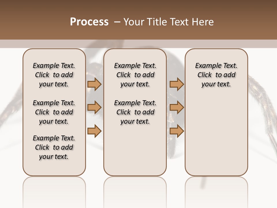 Arachnid Detail Background PowerPoint Template