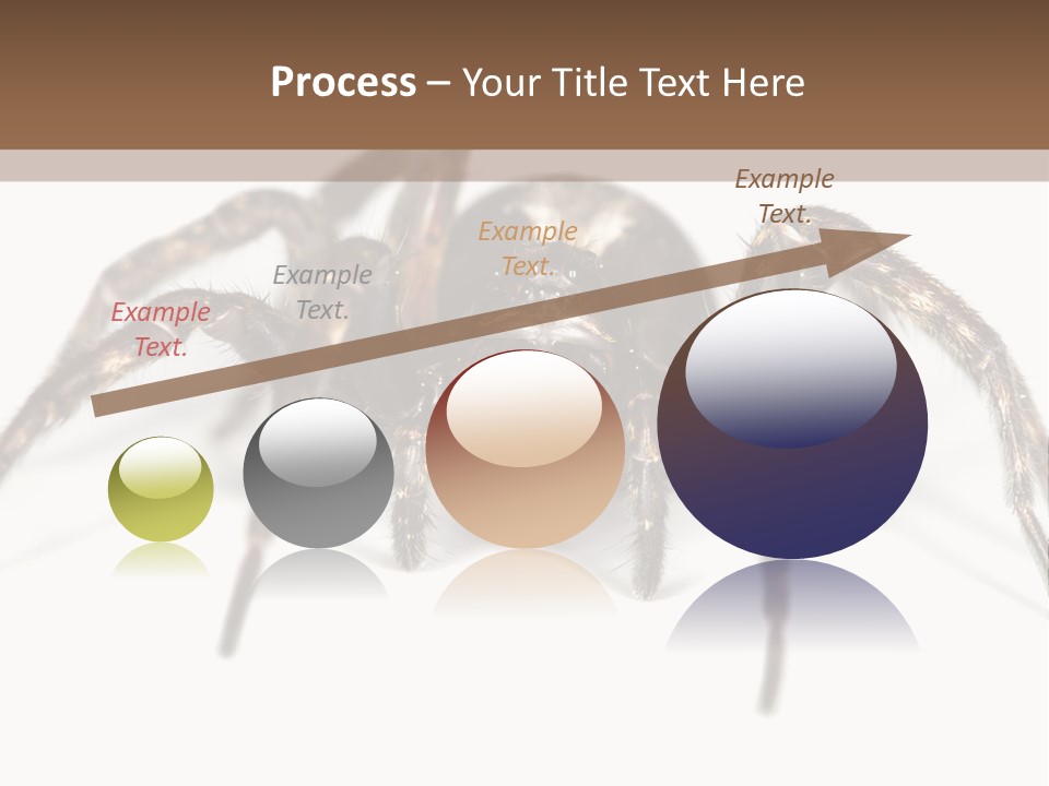 Arachnid Detail Background PowerPoint Template