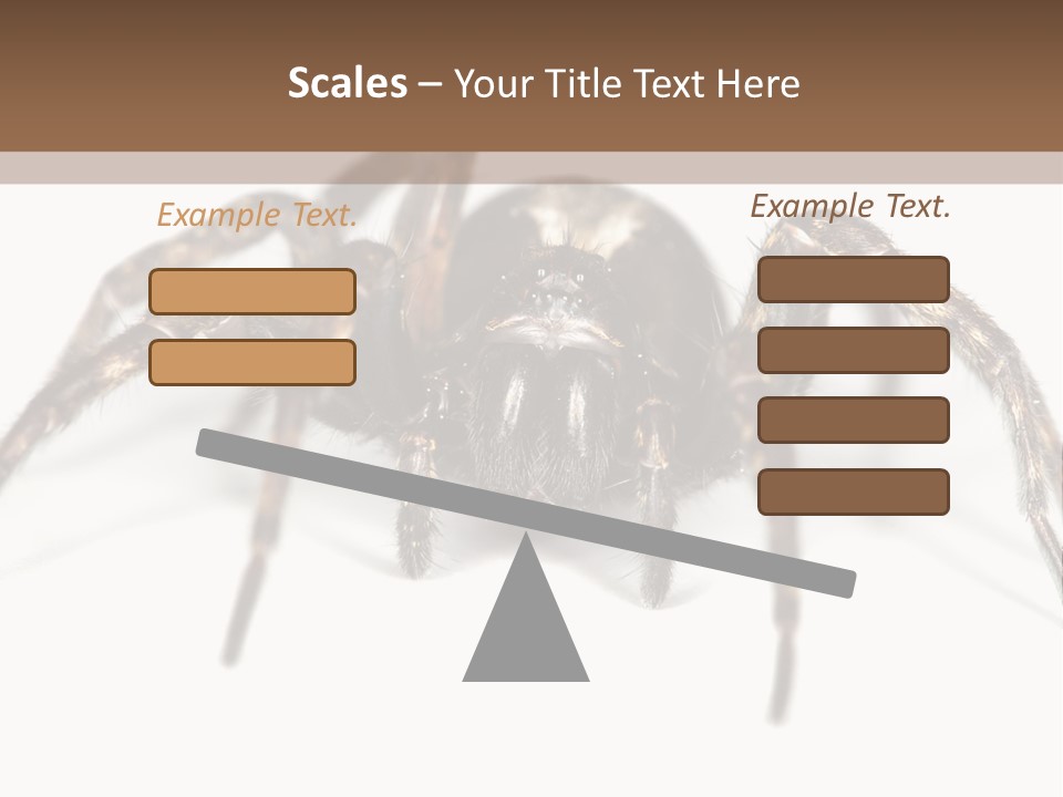 Arachnid Detail Background PowerPoint Template