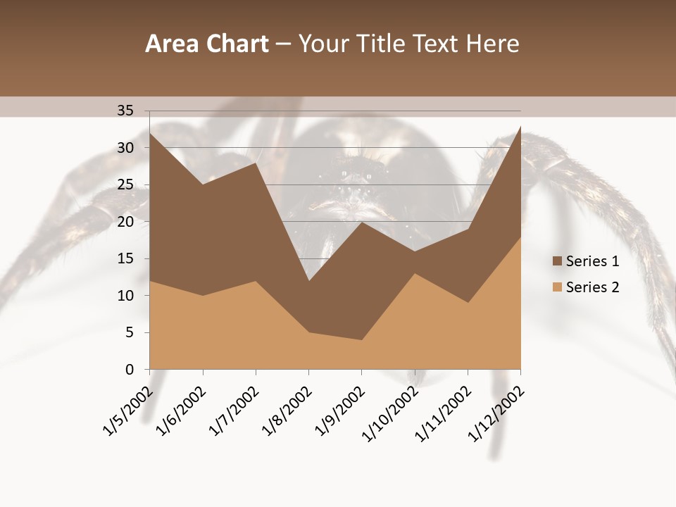 Arachnid Detail Background PowerPoint Template