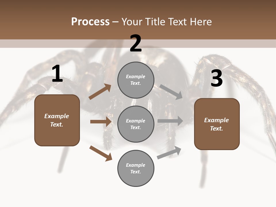 Arachnid Detail Background PowerPoint Template