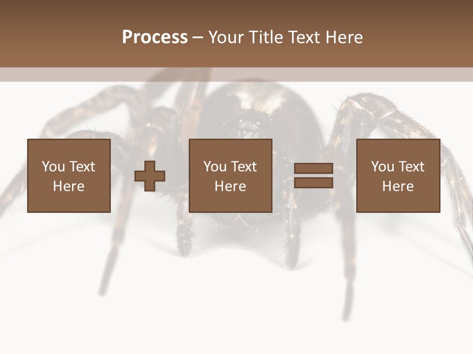Arachnid Detail Background PowerPoint Template