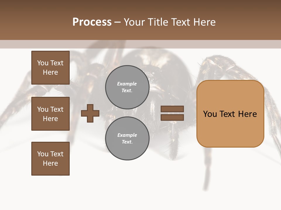 Arachnid Detail Background PowerPoint Template