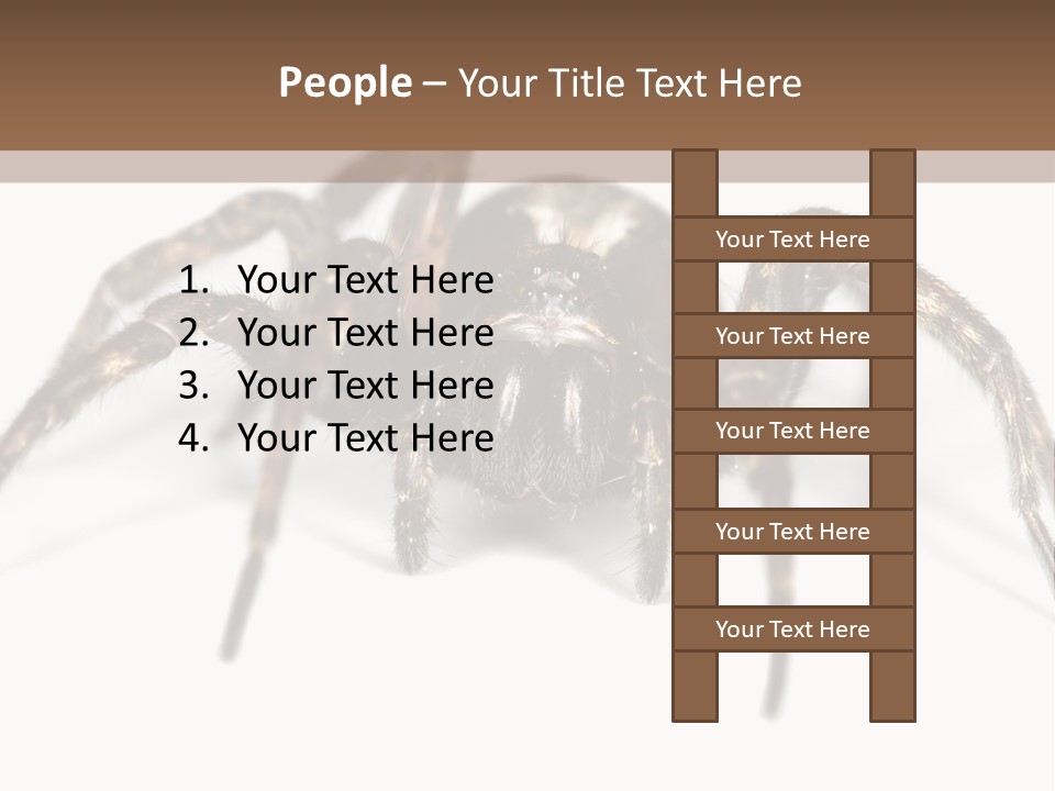 Arachnid Detail Background PowerPoint Template