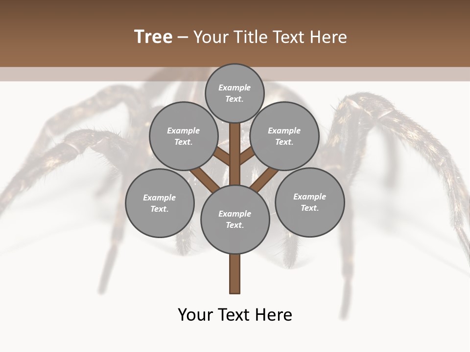 Arachnid Detail Background PowerPoint Template