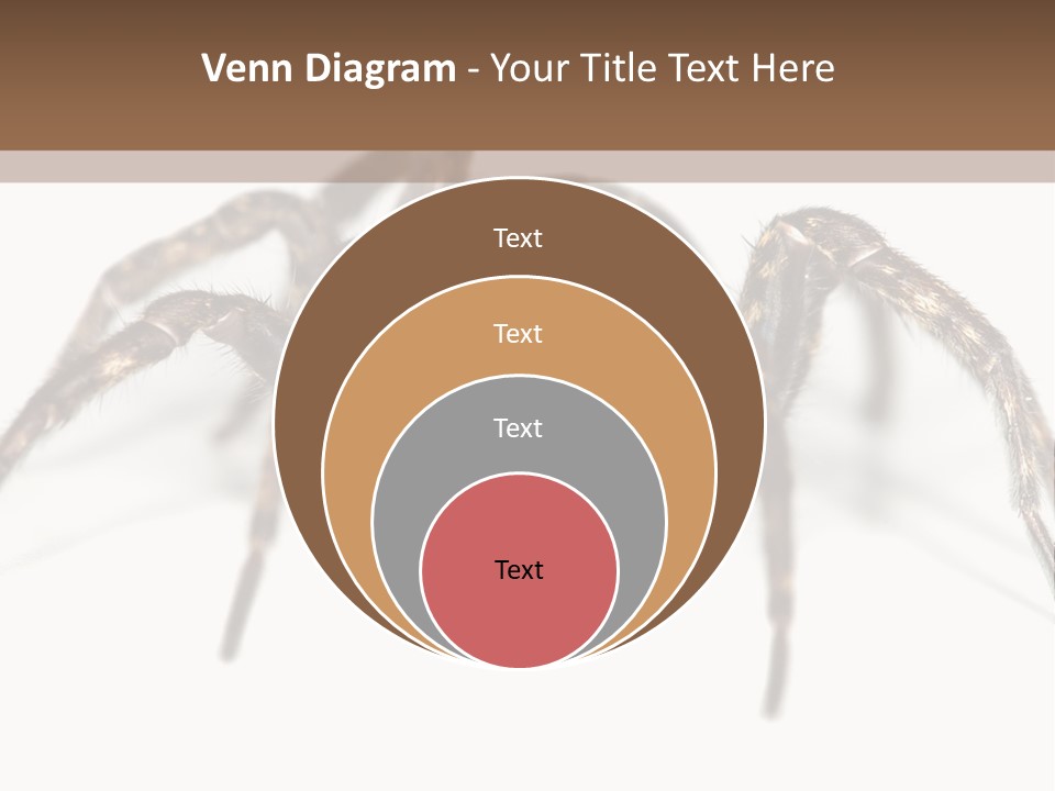 Arachnid Detail Background PowerPoint Template