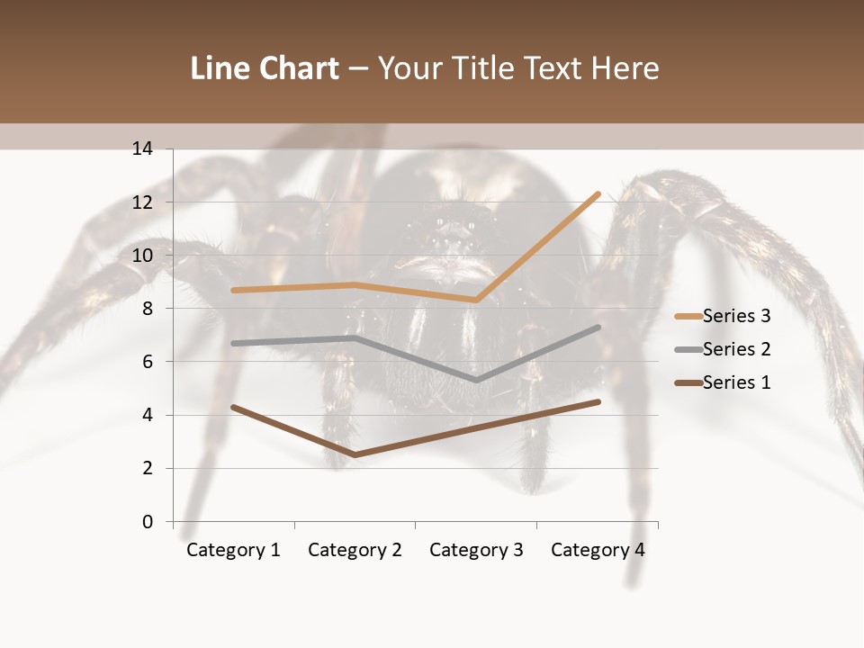 Arachnid Detail Background PowerPoint Template