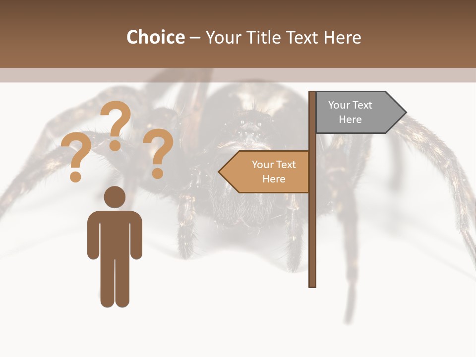 Arachnid Detail Background PowerPoint Template