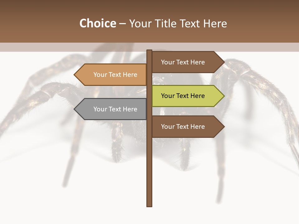 Arachnid Detail Background PowerPoint Template