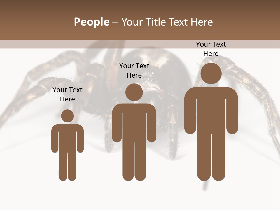 Arachnid Detail Background PowerPoint Template