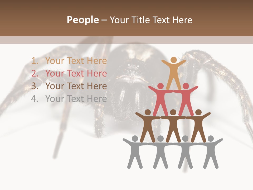 Arachnid Detail Background PowerPoint Template