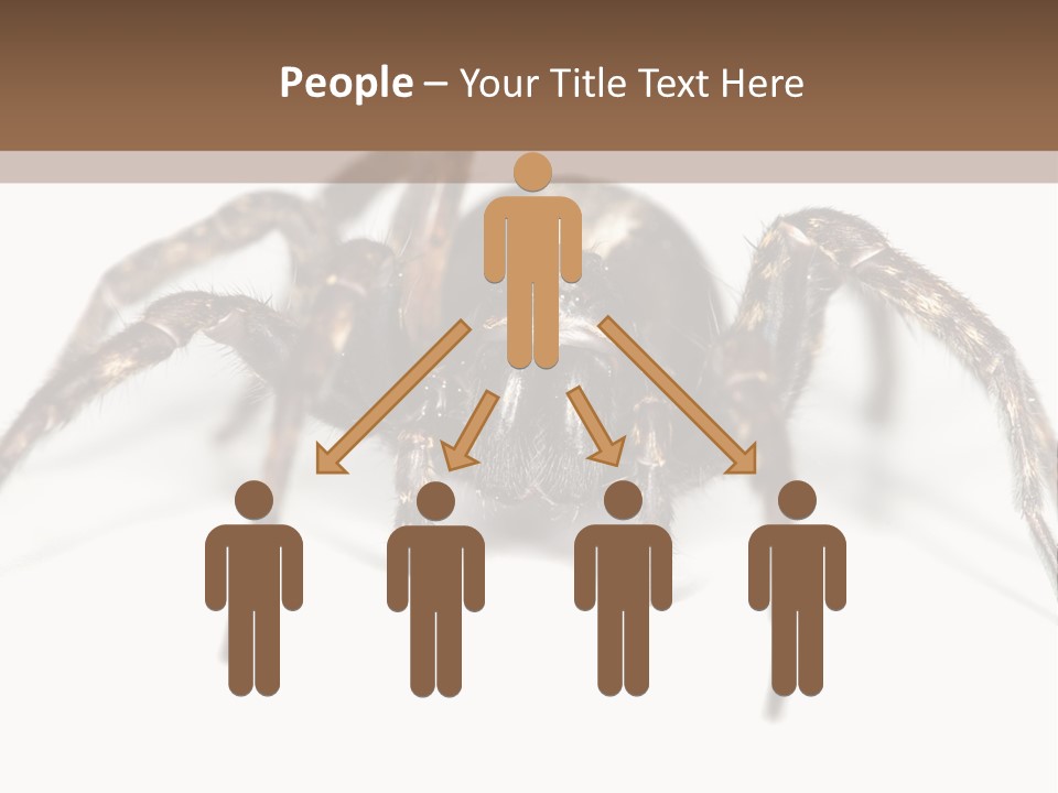 Arachnid Detail Background PowerPoint Template