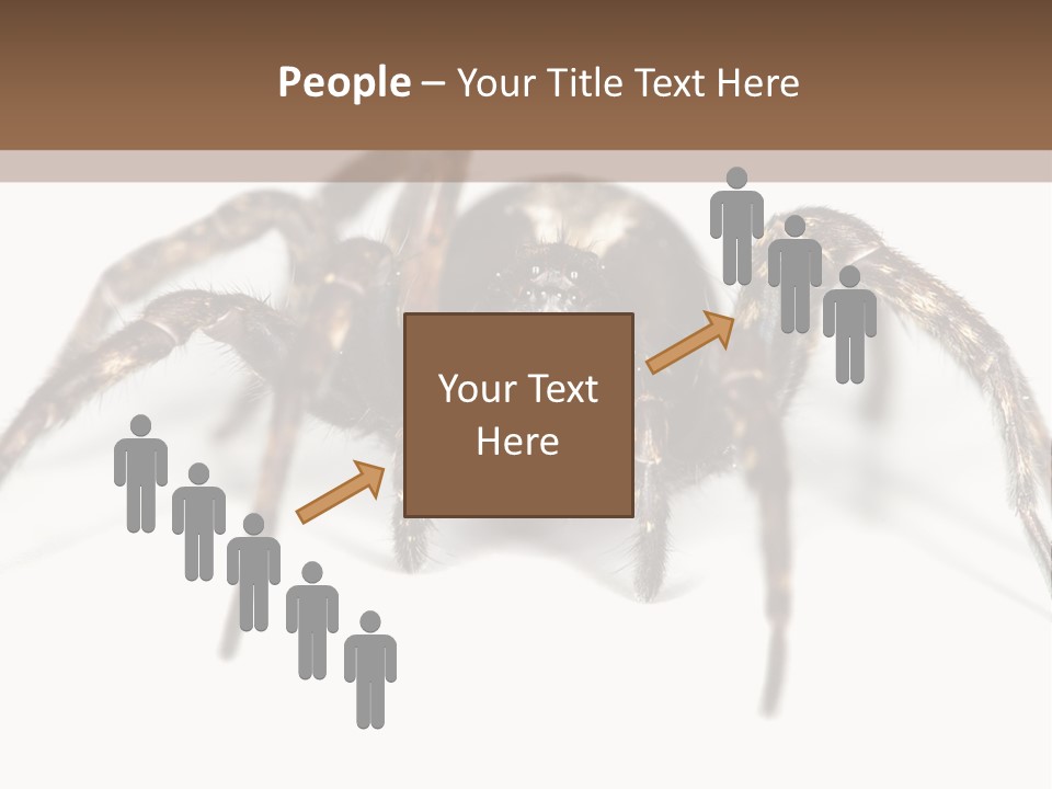 Arachnid Detail Background PowerPoint Template