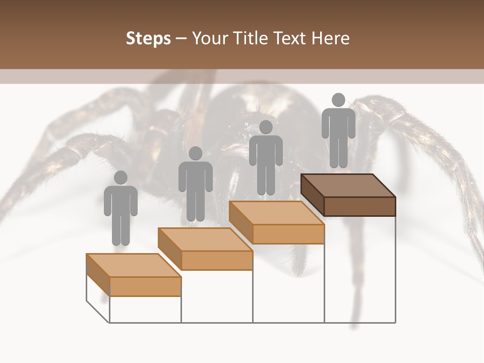 Arachnid Detail Background PowerPoint Template