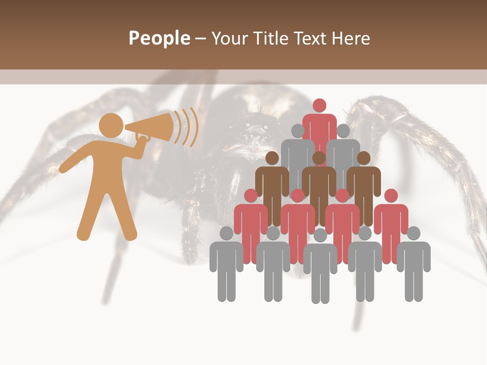 Arachnid Detail Background PowerPoint Template