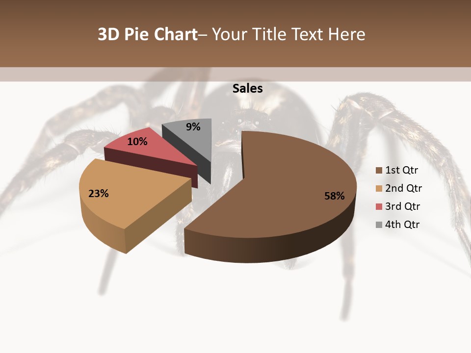 Arachnid Detail Background PowerPoint Template