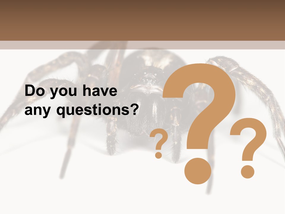 Arachnid Detail Background PowerPoint Template