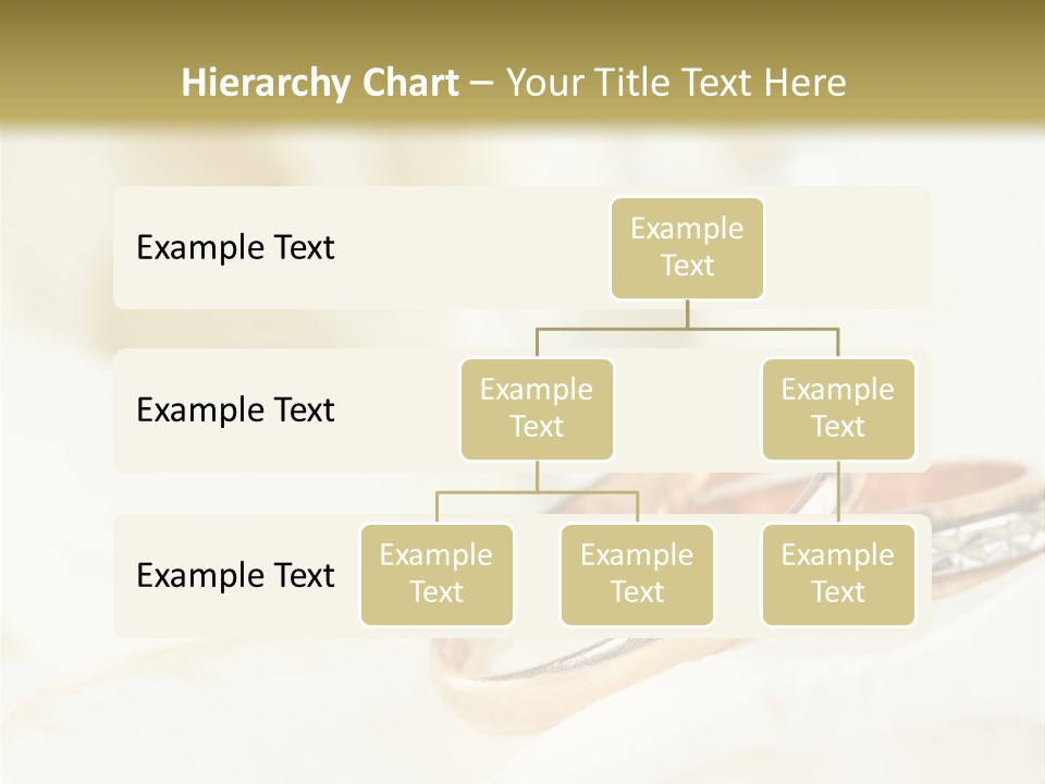 Jewelry Gift Two PowerPoint Template