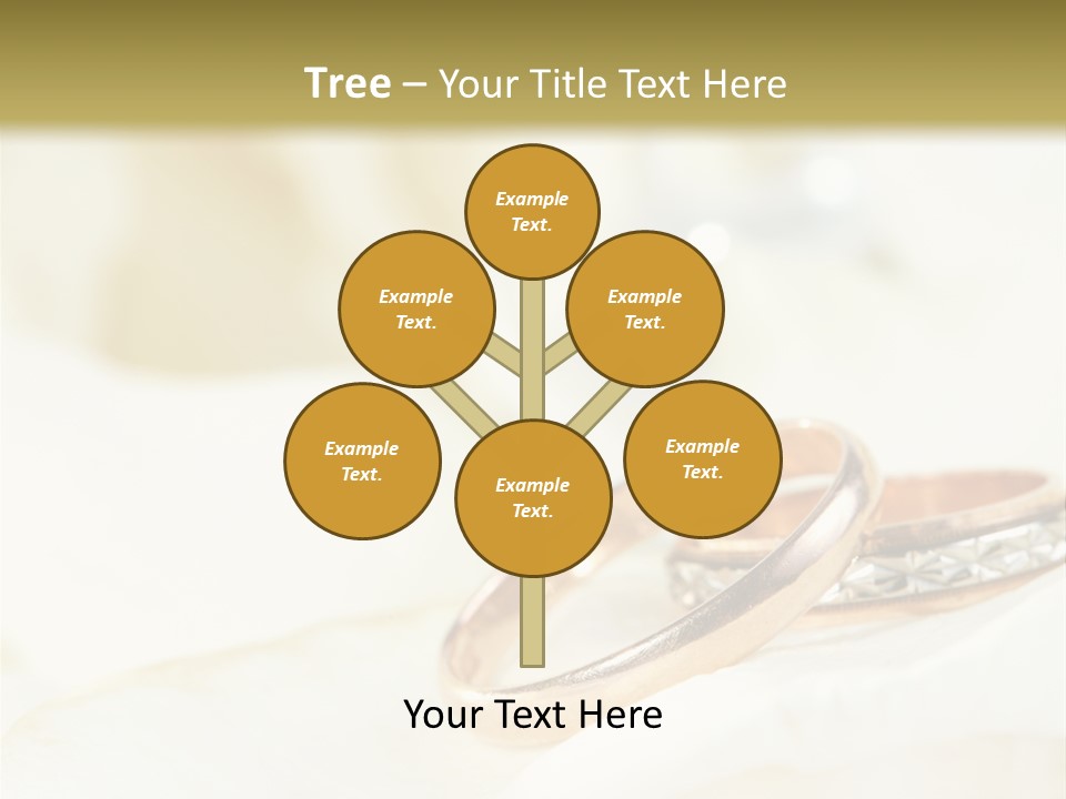 Jewelry Gift Two PowerPoint Template