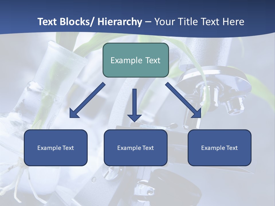 Scientific Nature Biochemistry PowerPoint Template