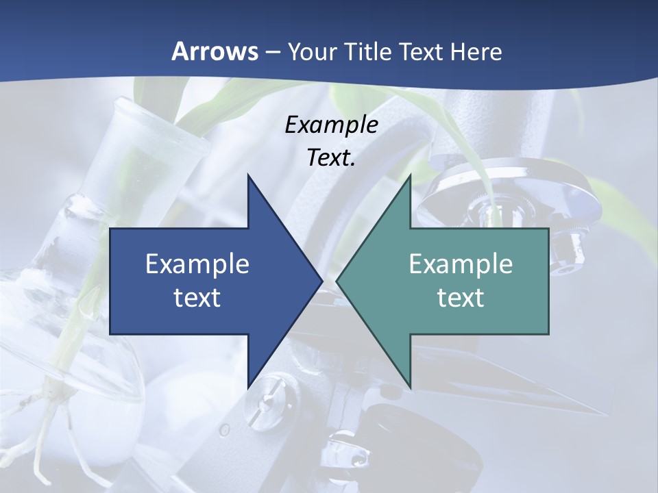 Scientific Nature Biochemistry PowerPoint Template