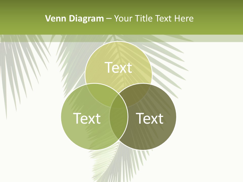 Outdoors Liquid Curve PowerPoint Template